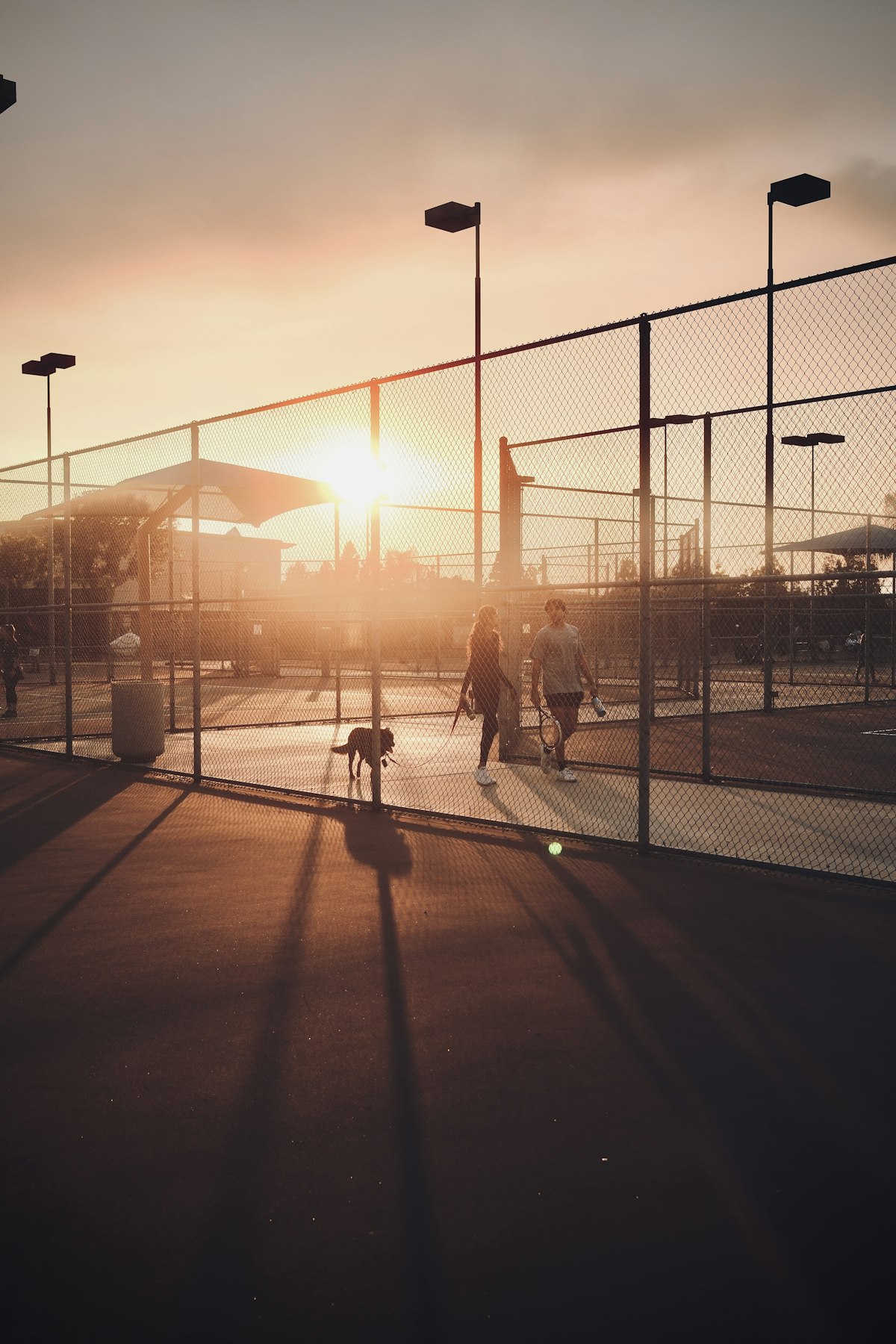 Tennis courts at sundown
